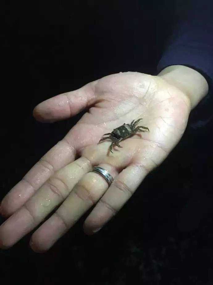 再遇青岛，距上次与你相见已过去了十年