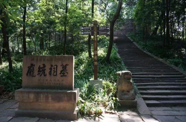 成都春季爬山踏青赏花一日游,成都周边踏青二日游自驾游