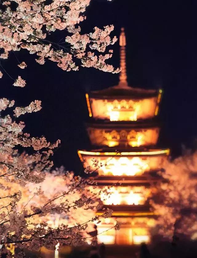 报告老板，我要逃离北京，我请假的的理由是……