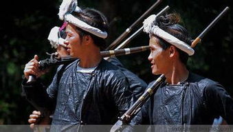 17日文化热门回顾：14年公盘上的5亿标王赌石，切开连只满绿手镯都没有，跌的好惨