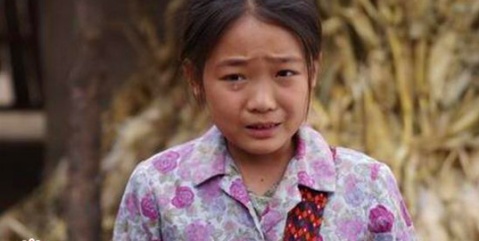 暖春感动了多少人,暖春有多感人