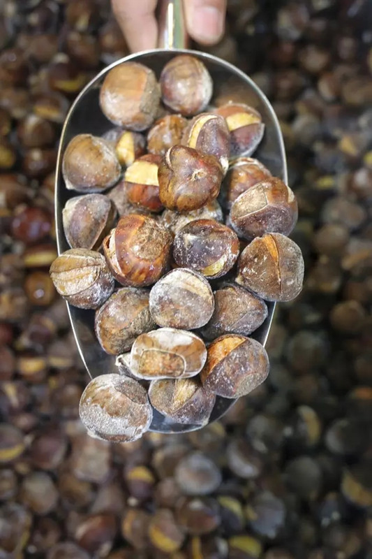 90后小伙街头卖栗子,卖板栗真实收入