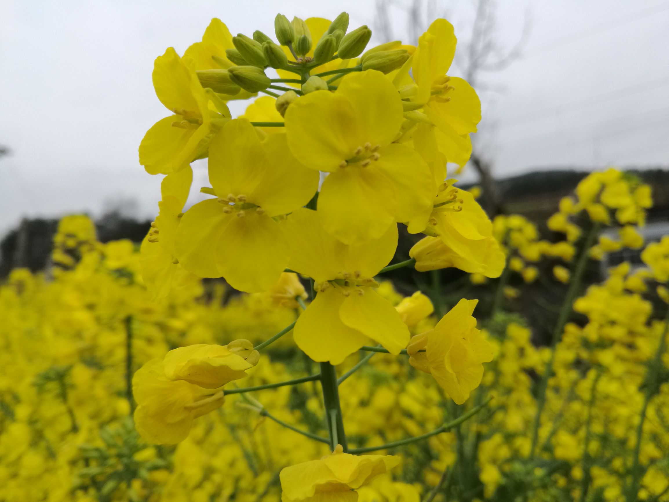 第六天，最艰辛的一日！「千里走单骑X2」广元—剑阁—柳沟镇！