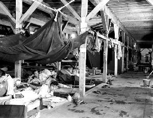 日军战俘营哪里战俘最多,日军高级战俘营