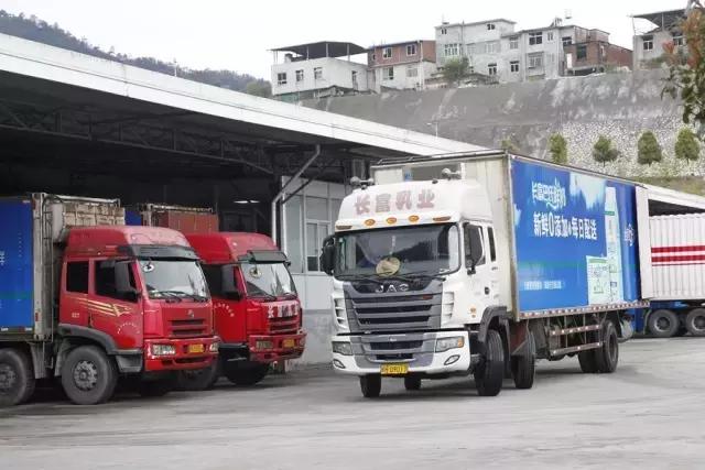 被央视通报过的奶粉品牌,被央视点名的网红奶茶