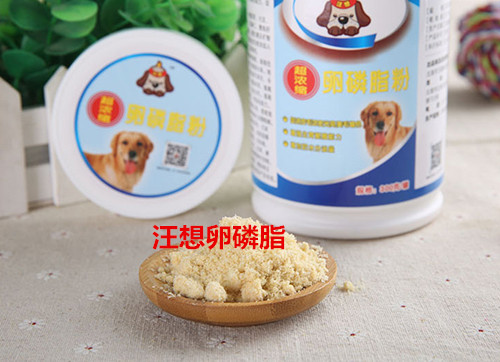 阿拉斯加和阿拉斯加雪橇犬,阿拉斯加犬掉毛怎么回事