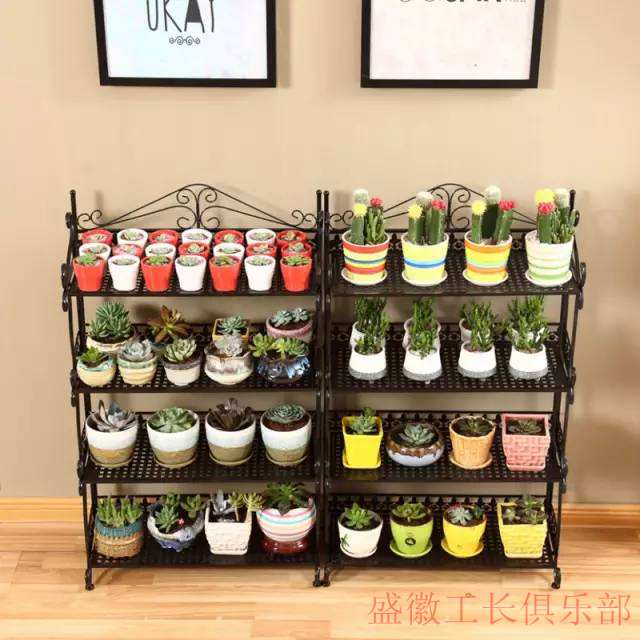 好看的花架客厅,美柏落地式花架