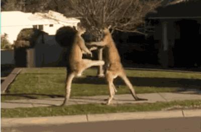 农业工作难找,农业专业找工作好找吗