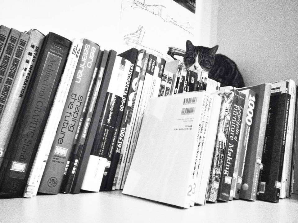 胡同里的办公室–方家胡同WEI建筑