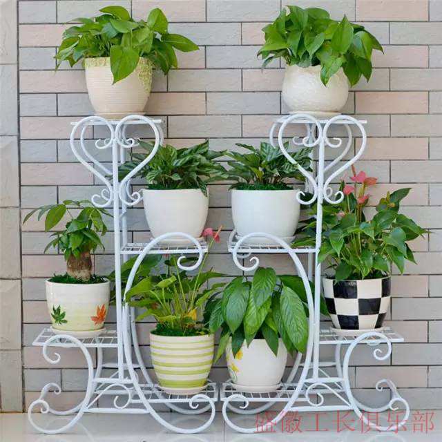 好看的花架客厅,美柏落地式花架