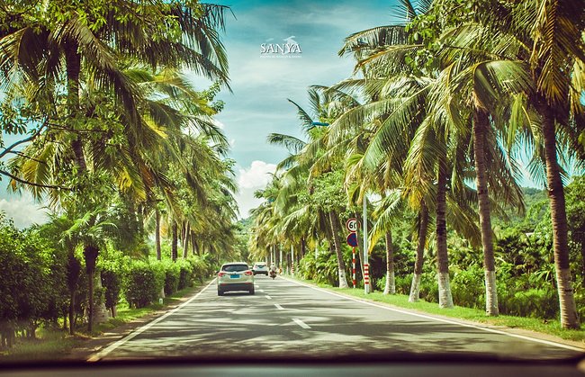 呼吸三亚新鲜空气~逃脱女儿牵拌