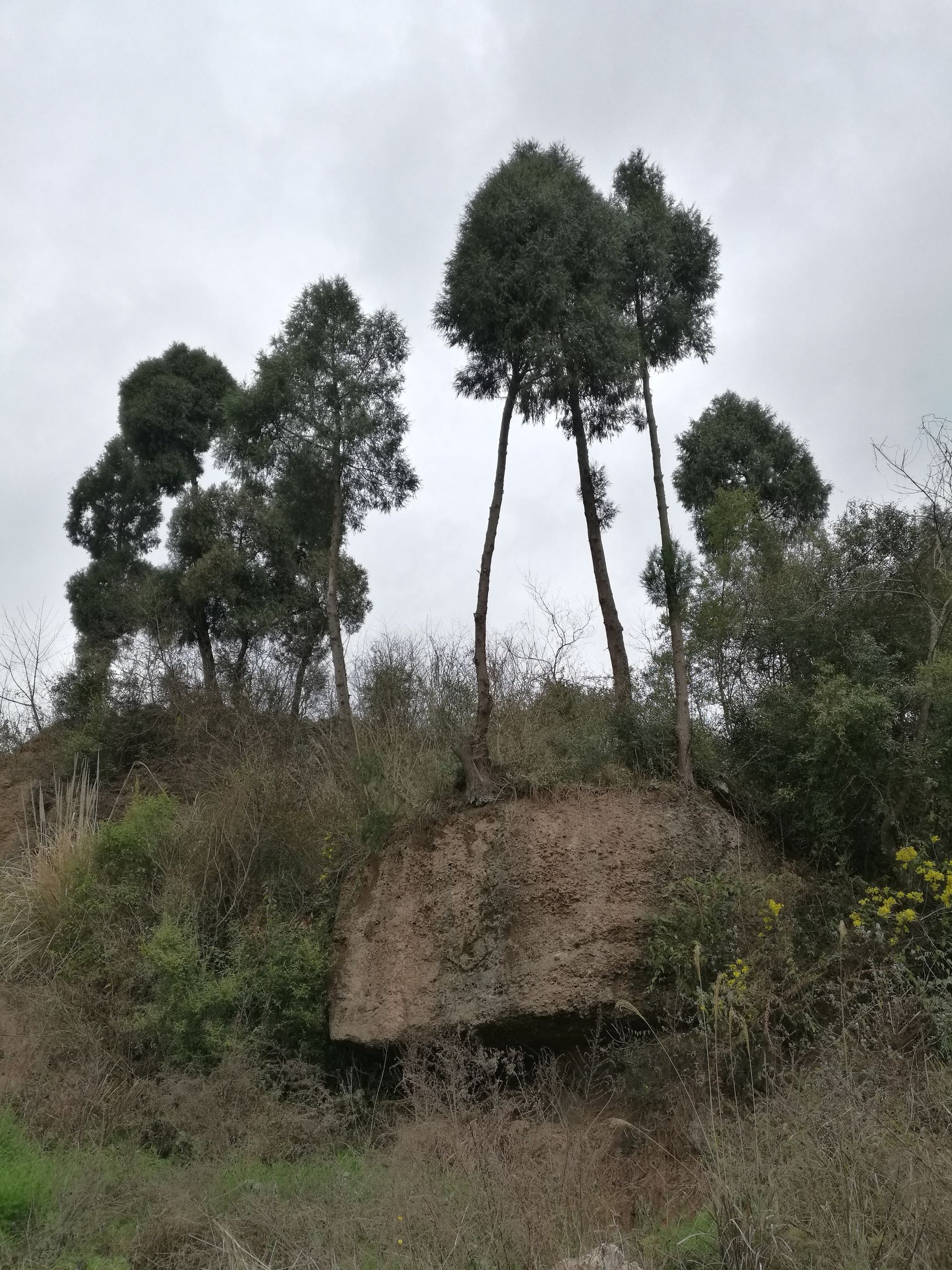 第六天，最艰辛的一日！「千里走单骑X2」广元—剑阁—柳沟镇！