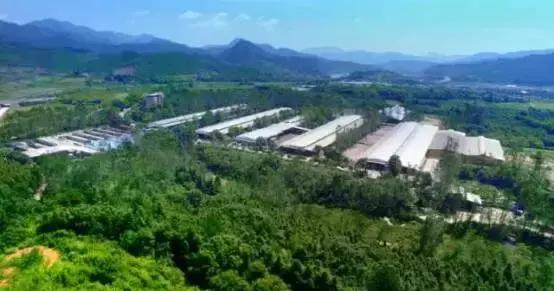 被央视通报过的奶粉品牌,被央视点名的网红奶茶