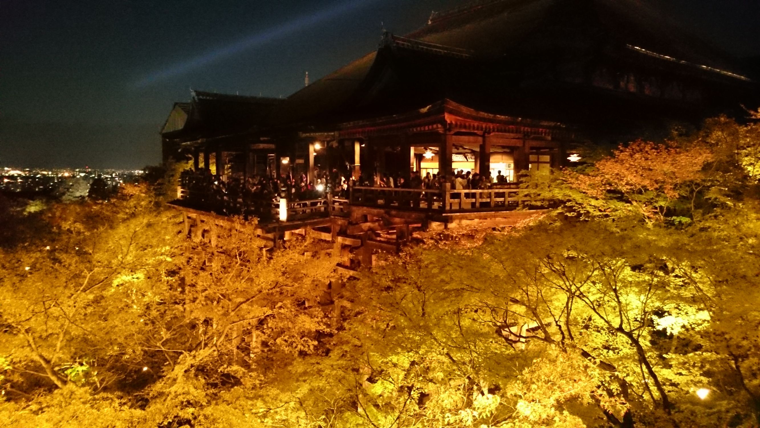 2019京都赏樱,京都樱地之花开时间