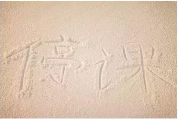 在伊利诺伊大学香槟分校,UIUC就读是怎样一番体验？