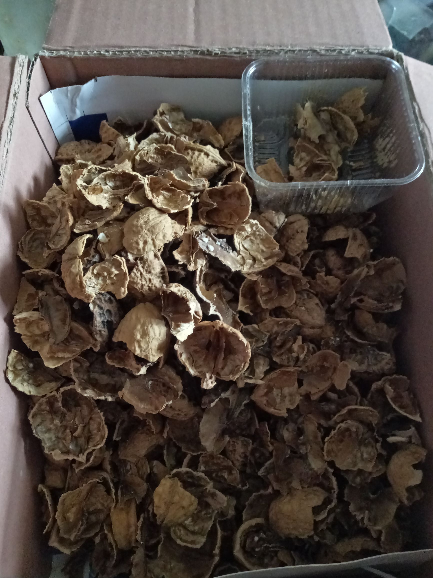 香蕉皮治疗口腔溃疡如何用,橘子皮治口腔溃疡怎么做