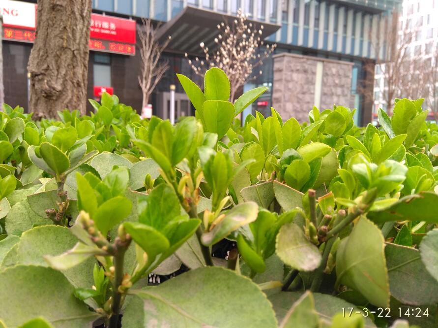 红米note4x缺点及差评,红米note4x高配版到底怎样