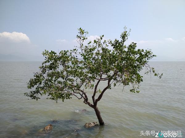 红米4x好不好用,红米4x是最新版的吗