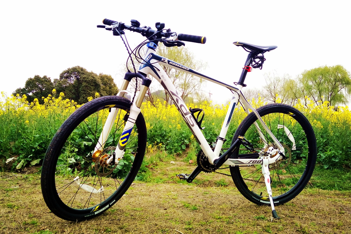 让x（叉）d（得）s（爽）带我飞简评喜德盛传奇700