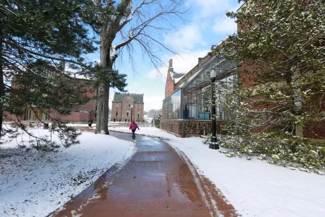 加拿大“最有前途”大学Top5温莎大学夺得第一