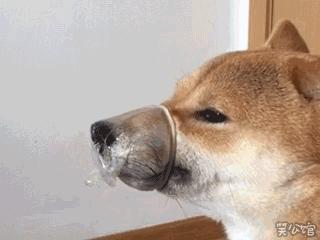 学弟医学院,欢迎各位学弟报名贵州大学