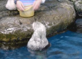 学弟医学院,欢迎各位学弟报名贵州大学