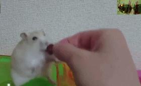 学弟医学院,欢迎各位学弟报名贵州大学