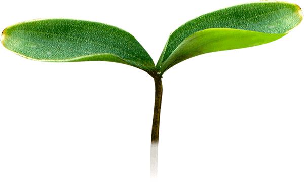 老教师深情呼唤，昏迷数月老伴奇迹苏醒