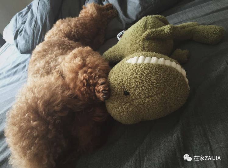 遮、盖、买，小夫妻这样对付老土精装房，悔不当初没买毛坯房