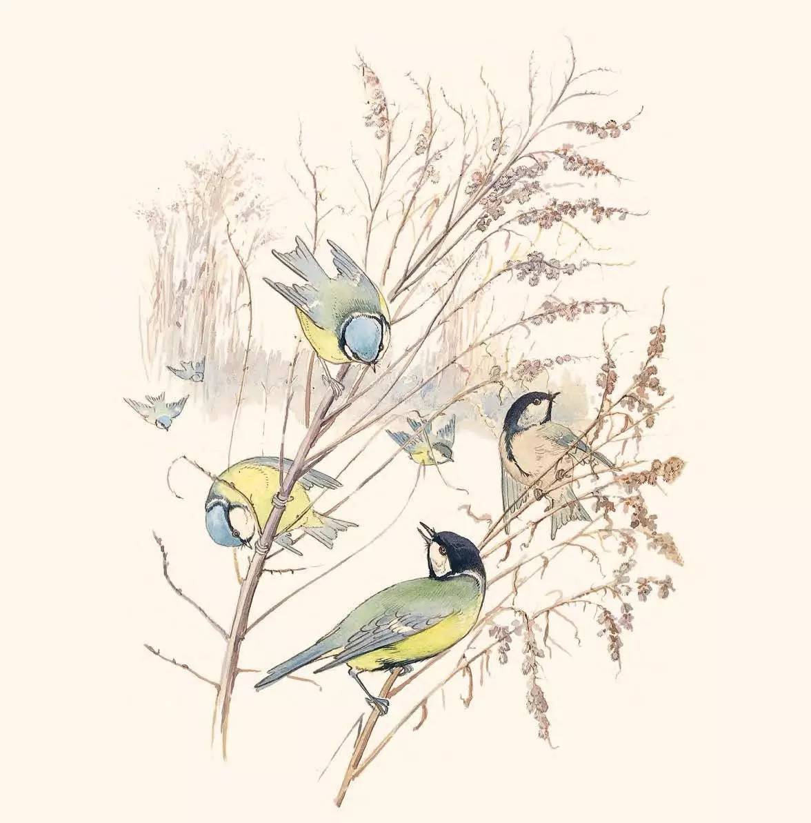 英伦乡野手记,英伦乡野手记读后感