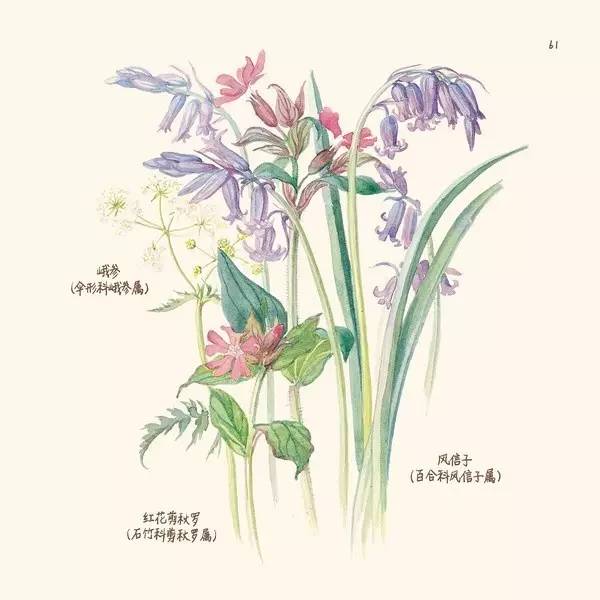 英伦乡野手记,英伦乡野手记读后感