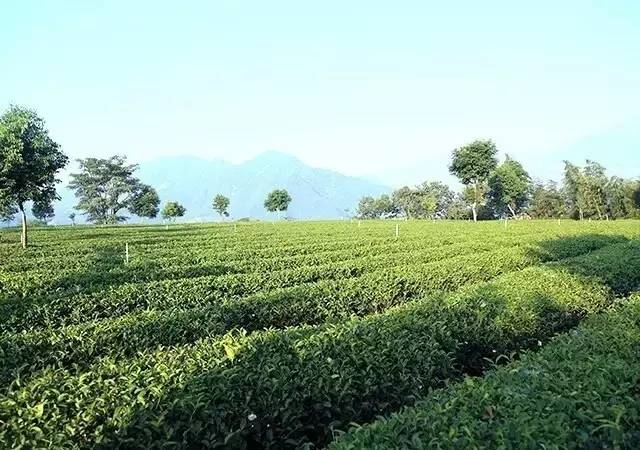 为什么说减肥等于整容,为什么说减肥是通过呼吸