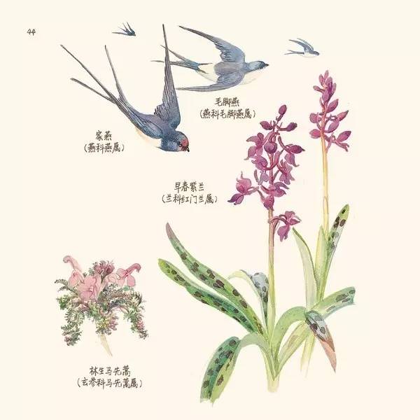 英伦乡野手记,英伦乡野手记读后感