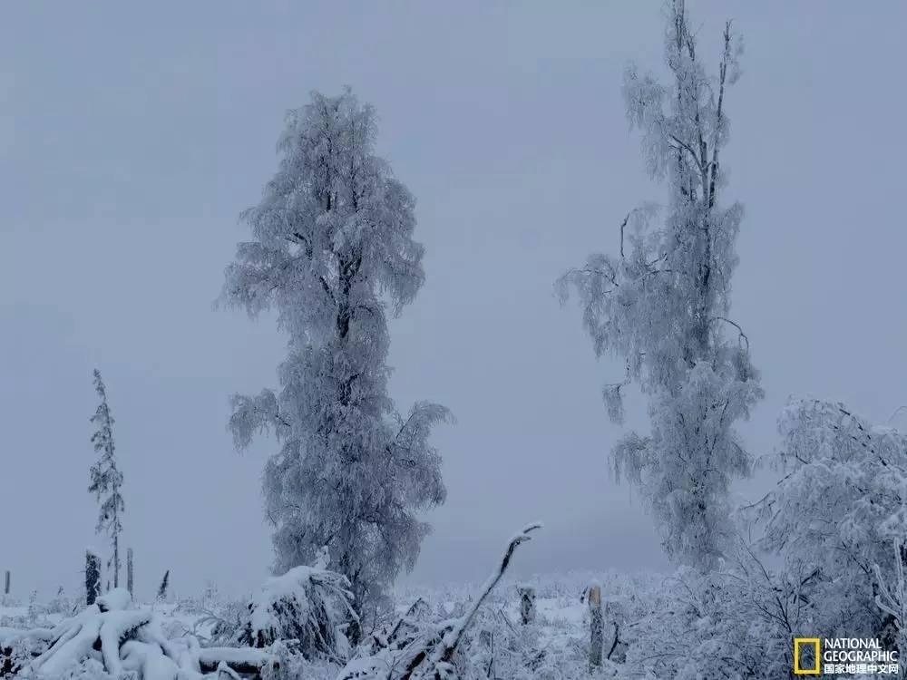 国家地理摄影图片冬天,中国国家地理景观冬季