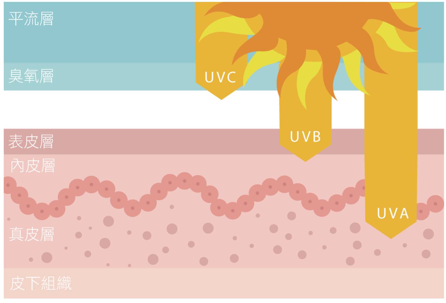 干货推荐国货护肤品,干货护肤推荐