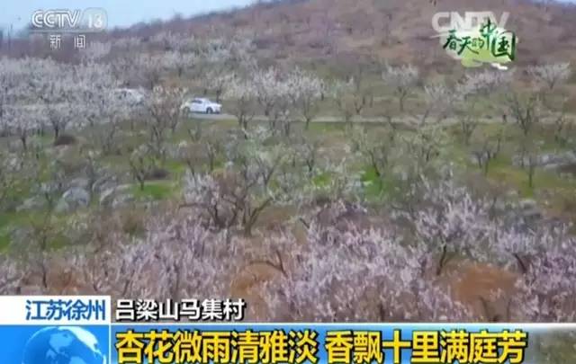 徐州这个村彻底火了，央视一天两次直播！大徐州你咋这么牛