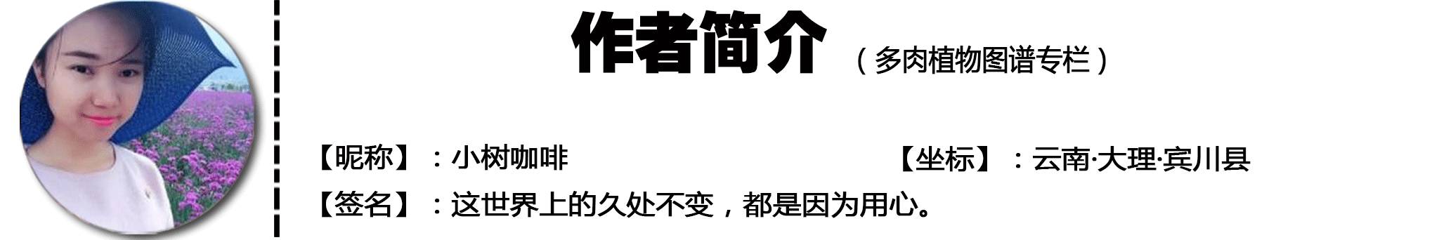今天，你爱国了吗？写给爱多肉的你~