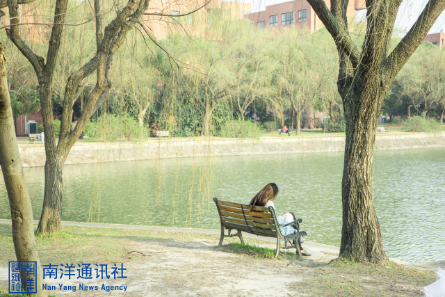 动人心弦独奏曲,动人心弦原唱完整版