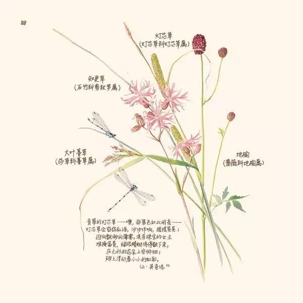 英伦乡野手记,英伦乡野手记读后感