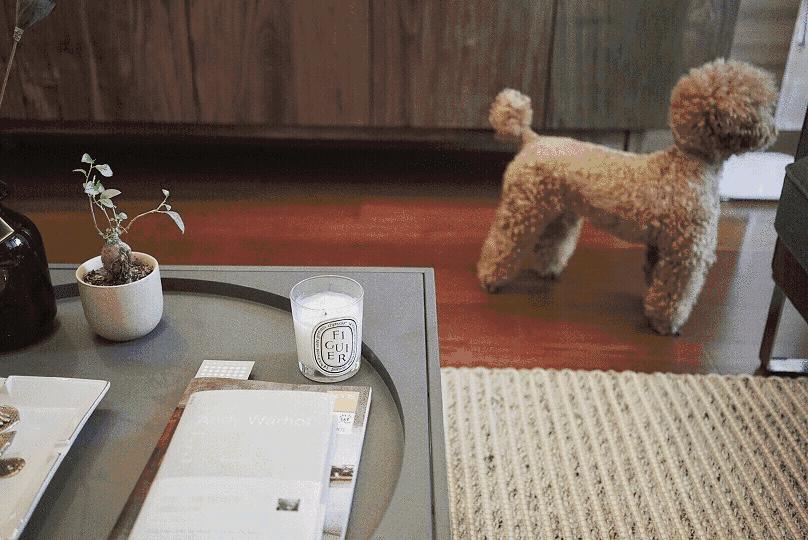 遮、盖、买，小夫妻这样对付老土精装房，悔不当初没买毛坯房