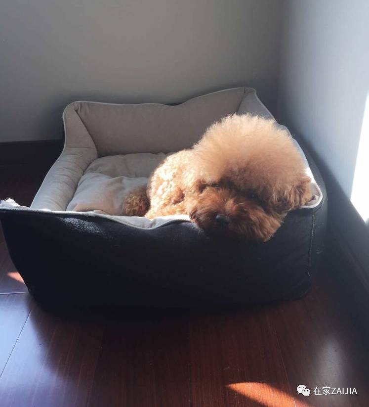 遮、盖、买，小夫妻这样对付老土精装房，悔不当初没买毛坯房