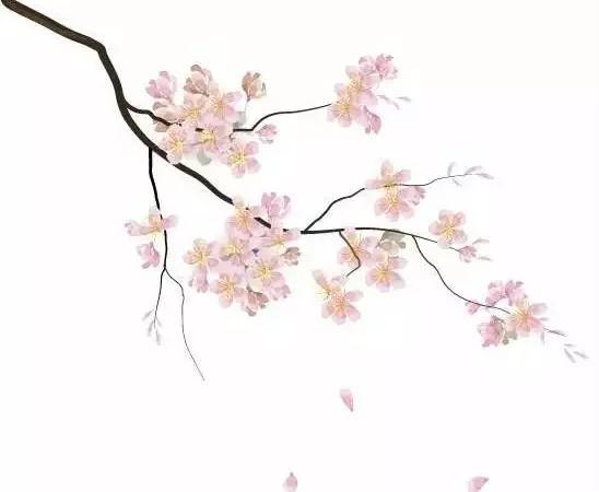 3.15丨我想，我可能遇到了一群“假”的消防员