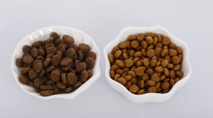 看完速度删！一篇只有宠物业内人士知道的内幕！