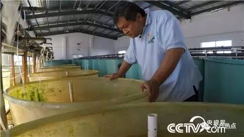 养鱼赚钱的真实案例,如何靠养鱼赚钱