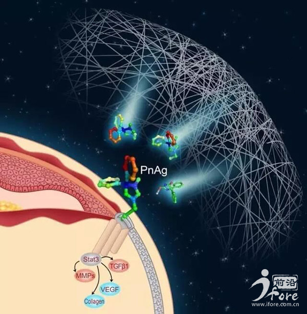 鍗楀紑澶у鑽墿鍒跺墏,鍗楀紑澶у鐮斿彂鐨勮嵂