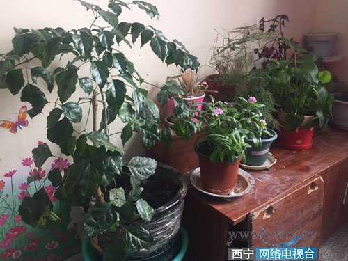 沈那中学好不好,未成年人思想道德教育深度学习