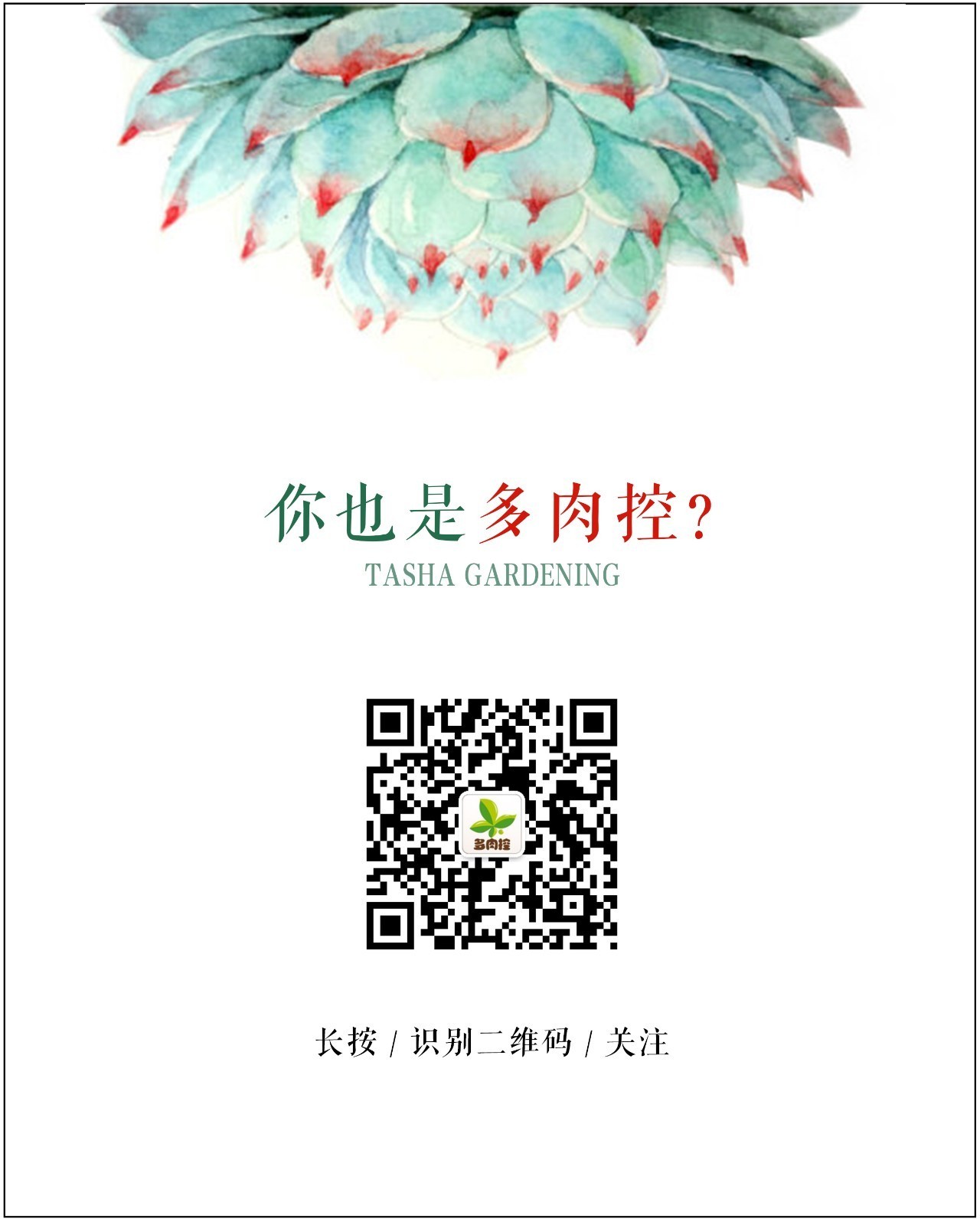 美国109岁老奶奶,109岁奶奶美国