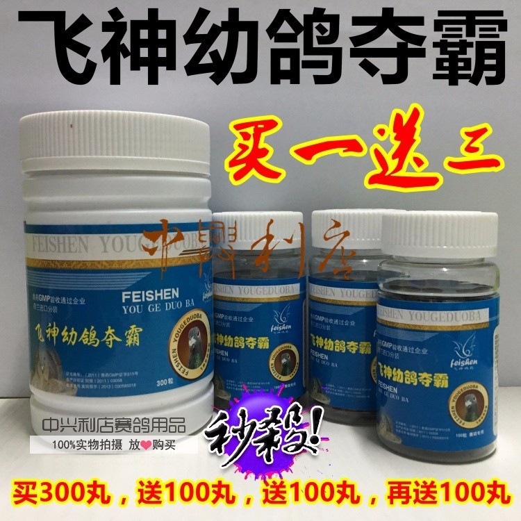 如何挑选鸽子,怎么挑选鸽子