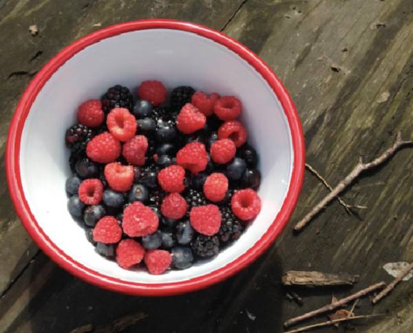怀旧搪瓷餐具推荐,这样的餐具你还敢用吗