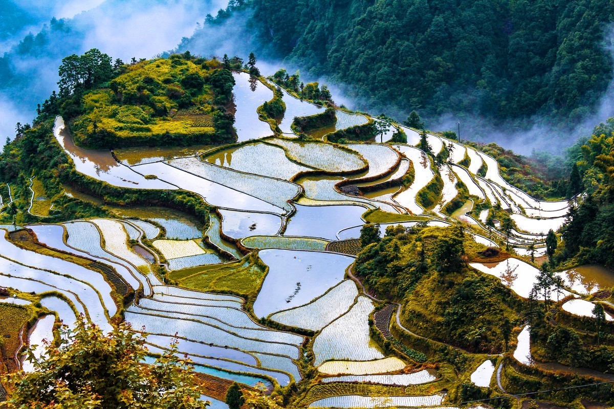 浙里有座藏在大山里的小香港，低调得让人心疼，高铁2h即达！